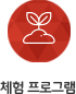 체험프로그램